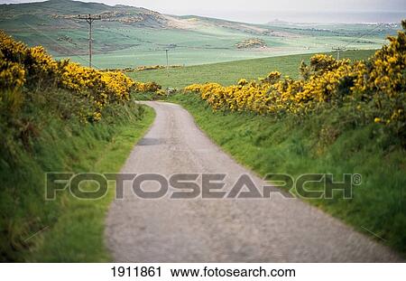 Stock Image - Lane Near Mull Of Kintyre, Argyll, Scotland.. Fotosearch