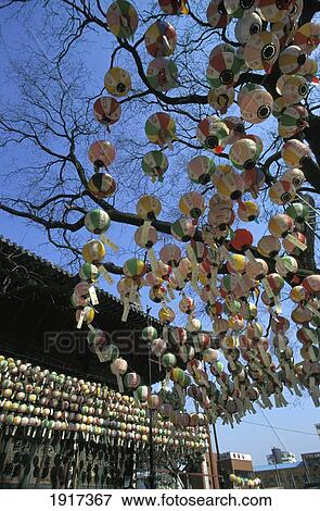 Lanterns Hanging From Tree View Large Photo Image Stock Photo - Lanterns Hanging From Tree. Fotosearch