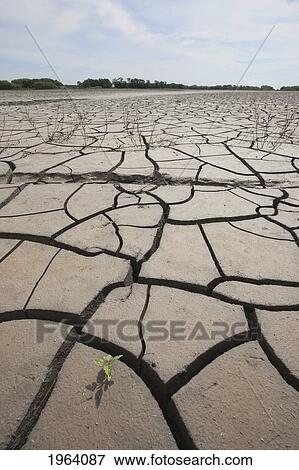 Large Cracks In The Earth From Dry Ground; Manitoba, Canada View Large Photo Image Stock Photo - Large Cracks In The Earth From Dry Ground; Manitoba, Canada. Fotosearch