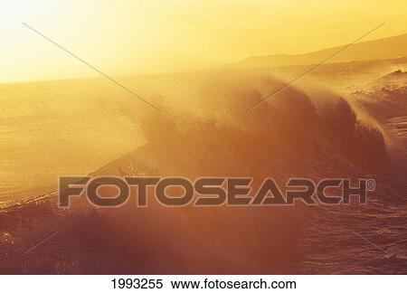 Stock Photography - Large Crashing Curling Wave With Golden Highlights, Misty Sunset Sky.. Fotosearch