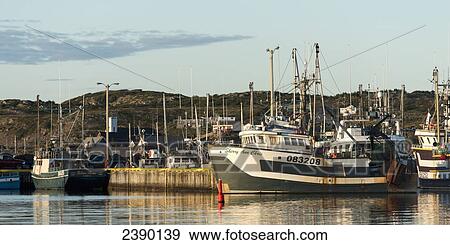 Stock Photo - Large fishing vessels in a harbour on the atlantic coast; Twillingate, Newfoundland and Labrador, Canada. Fotosearch
