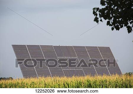 Stock Photograph - Large solar panel in corn field with blue sky; Port Colborne, Ontario, Canada. Fotosearch