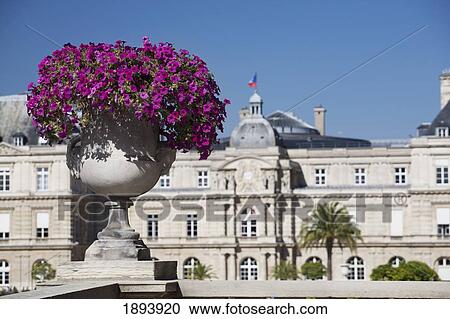 Stock Image - Large Vase Of Flowers And A Palace In The Background; Paris, France. Fotosearch