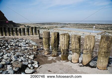 Large Wooden Struts Acting As Tidal Breaks At The High Tide Mark In Watchet, Exmoor National Park, Somerset, Uk View Large Photo Image Stock Photograph - Large Wooden Struts Acting As Tidal Breaks At The High Tide Mark In Watchet, Exmoor National Park, Somerset, Uk. Fotosearch