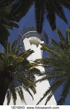 Las Vegas, Nevada, United States Of America; Low Angle Of The Stratosphere Needle Framed By Palm Trees View Large Photo Image Stock Image - Las Vegas, Nevada, United States Of America; Low Angle Of The Stratosphere Needle Framed By Palm Trees. Fotosearch