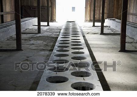 Latrine In One Of The Medical Barracks, Auschwitz-Birkenau Concentration Camp, Oswiecim, Malopolska, Poland View Large Photo Image Stock Photo - Latrine In One Of The Medical Barracks, Auschwitz-Birkenau Concentration Camp, Oswiecim, Malopolska, Poland. Fotosearch