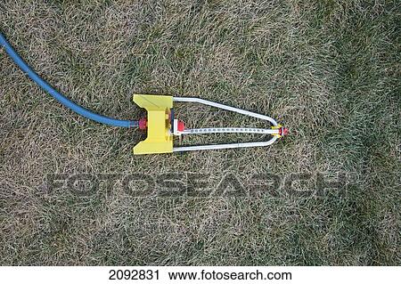 Lawn Sprinkler On Parched Grass; Brampton Ontario Canada View Large Photo Image Stock Image - Lawn Sprinkler On Parched Grass; Brampton Ontario Canada. Fotosearch
