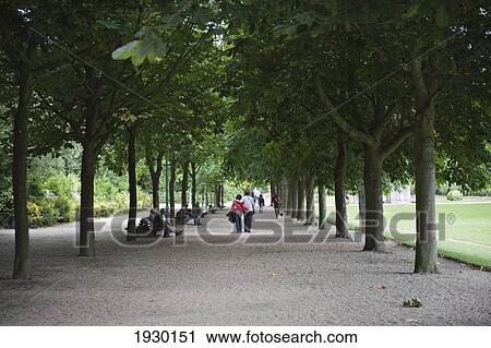 Stock Image - Le parc du Thabor. Rennes. Brittany. France.. Fotosearch