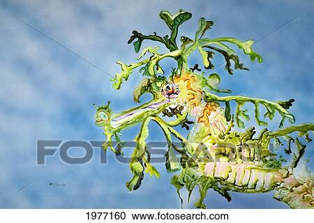 Stock Image - Leafy Sea Dragon, Blue Ocean Water (Watercolor On Yupo).. Fotosearch