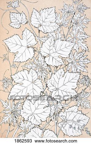 Leaves And Flowers From Nature No 2 Plate Xcii From The Grammar Of Ornament By Owen Jones Published By Day & Son London 1865 View Large Photo Image Stock Image - Leaves And Flowers From Nature No 2 Plate Xcii From The Grammar Of Ornament By Owen Jones Published By Day & Son London 1865. Fotosearch