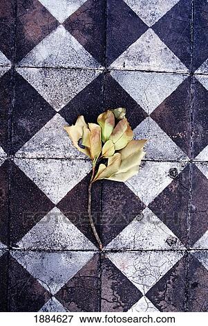 Stock Photo - Leaves On Tomb Of Dong Khan, Close Up. Fotosearch