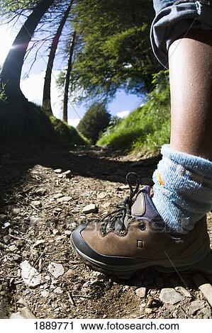 Leg Of Female Walker On Country Footpath At Edge Of Woods, Low Angle View View Large Photo Image Stock Image - Leg Of Female Walker On Country Footpath At Edge Of Woods, Low Angle View. Fotosearch