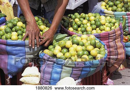 Lemons And Limes On Local Market View Large Photo Image Stock Photograph - Lemons And Limes On Local Market. Fotosearch