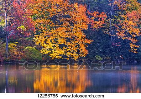 Libby lake in late autumn; Austin, Quebec, Canada View Large Photo Image Stock Photography - Libby lake in late autumn; Austin, Quebec, Canada. Fotosearch