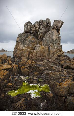 Lichen on rocky Brittany shoreline. View Large Photo Image Stock Image - Lichen on rocky Brittany shoreline.. Fotosearch