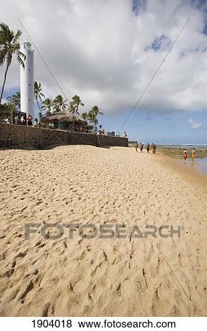 Stock Photo - Lighthouse And Beach At Praia Do Forte, Bahia, Brazil. Fotosearch