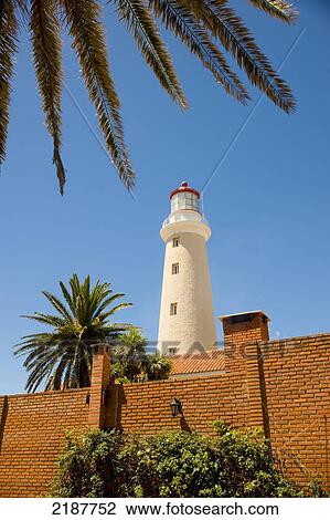 Stock Image - Lighthouse and palm trees in Punta del Este, Uruguay, South America. Fotosearch