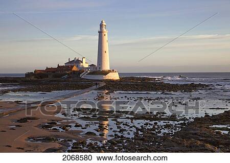 Stock Image - Lighthouse On St. Mary's Island; Northumberland England. Fotosearch