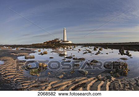 Stock Image - Lighthouse On St. Mary's Island; Northumberland England. Fotosearch