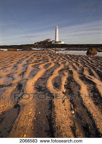 Stock Image - Lighthouse On St. Mary's Island; Northumberland England. Fotosearch