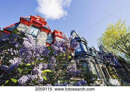 Stock Photography - Lilac And Coloured Houses, Square Saint-Louis. Montreal, Quebec. Fotosearch