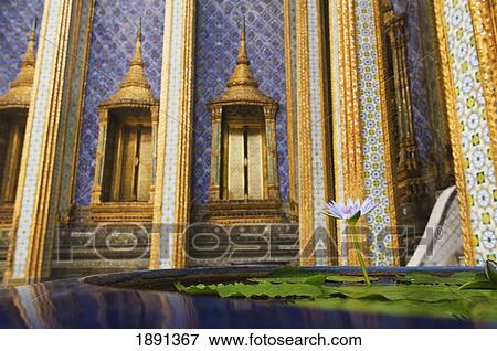 Stock Photo - Lilly Flower In Large Pot Outside Wat Phra Kaew Temple. Fotosearch