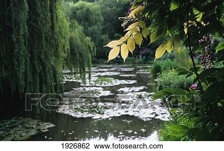 Stock Image - Lily Pond At Monet's House. Fotosearch