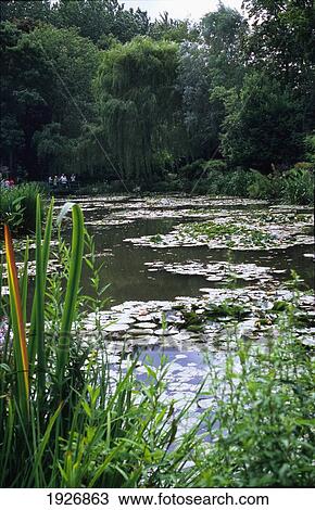 Lily Pond At Monet's House View Large Photo Image Stock Image - Lily Pond At Monet's House. Fotosearch