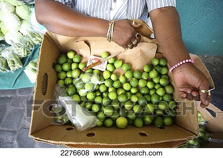 Limes for sale; Bequia, St. Vincent and the Granadines View Large Photo Image Stock Photo - Limes for sale; Bequia, St. Vincent and the Granadines. Fotosearch