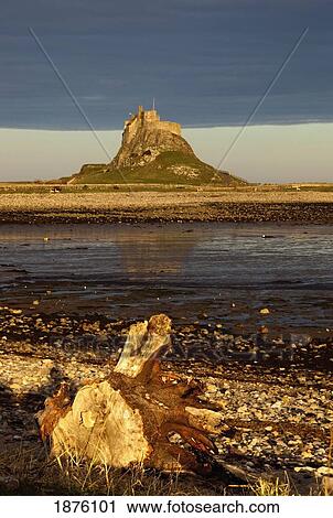 Lindisfarne, Northumberland, England; A Castle On The Tidal Island Also Known As Holy Island View Large Photo Image Stock Image - Lindisfarne, Northumberland, England; A Castle On The Tidal Island Also Known As Holy Island. Fotosearch