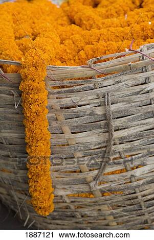 Stock Image - Line Of Marigolds Coming Out Of Basket, Close Up. Fotosearch