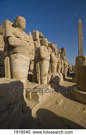Line Of Statues To Hatshepsut's Obelisk View Large Photo Image Stock Image - Line Of Statues To Hatshepsut's Obelisk. Fotosearch