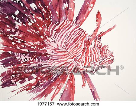 Stock Photo - Lionfish, Profile Of Lionfish On White Background (Watercolor Painting).. Fotosearch