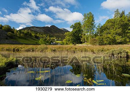 Stock Photo - Little Langdale, Lake District National Park, Cumbria, England. Fotosearch