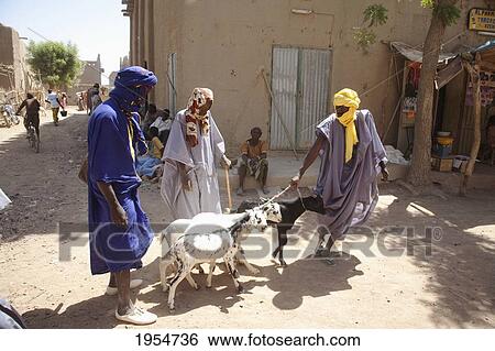 Livestock for sale at Monday Market in Djenne, Mali View Large Photo Image Stock Photograph - Livestock for sale at Monday Market in Djenne, Mali. Fotosearch