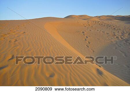 Liwa Desert Dune, Empty Quarter, Abu Dhabi View Large Photo Image Stock Photo - Liwa Desert Dune, Empty Quarter, Abu Dhabi. Fotosearch
