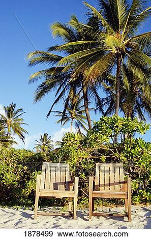 Stock Photo - Lizard Island. Fotosearch