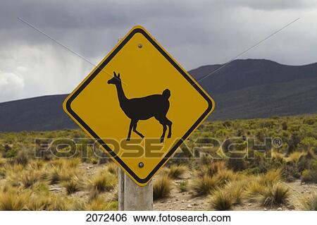Llama Crossing Sign, Sajama National Park, Oruro, Bolivia View Large Photo Image Stock Photograph - Llama Crossing Sign, Sajama National Park, Oruro, Bolivia. Fotosearch