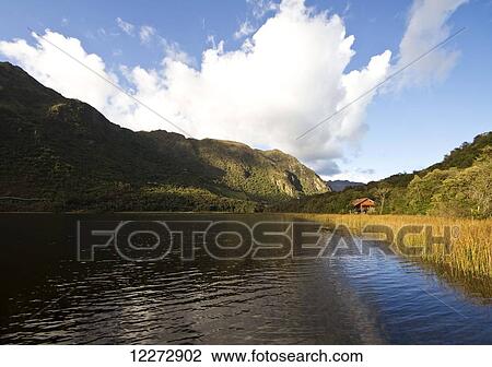 Llaviucu (Zorrocucho) Lagoon, Cajas National Park, Azuay, Ecuador View Large Photo Image Stock Image - Llaviucu (Zorrocucho) Lagoon, Cajas National Park, Azuay, Ecuador. Fotosearch