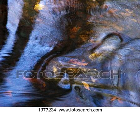 Picture - Loa, Massachusetts, Seekonk, Caratunk Wildlife Refuge, Water Patterns, Reflections And Leaves.. Fotosearch