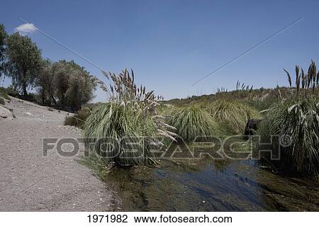 Stock Image - Loa River, Chiu Chiu, Antofagasta Region, Chile. Fotosearch