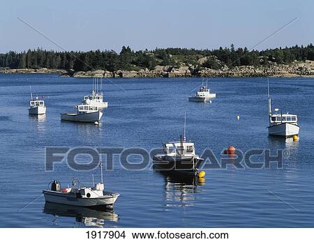 Picture - Lobster Boats In Stonington Harbour. Fotosearch