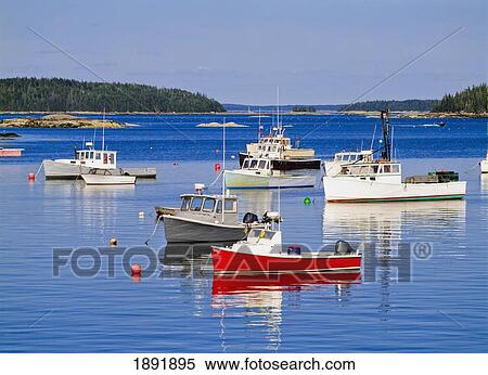 Stock Photography - Lobster Boats In Stonington Harbour. Fotosearch