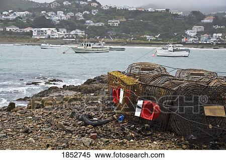 Lobster Traps, Island Bay, Wellington, New Zealand View Large Photo Image Stock Photography - Lobster Traps, Island Bay, Wellington, New Zealand. Fotosearch