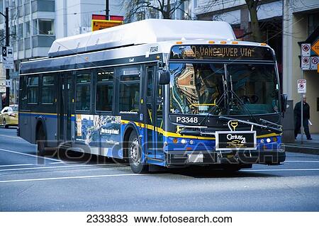 Stock Image - Local Bus; Vancouver, British Columbia, Canada. Fotosearch