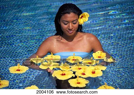 Local Girl In Pool, Surrounded By Tropical Flowers, Yellow Hibiscus View Large Photo Image Stock Photograph - Local Girl In Pool, Surrounded By Tropical Flowers, Yellow Hibiscus. Fotosearch