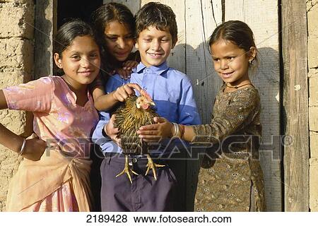 Local Kids Holding A Chicken, Bir, Himachal Pradesh, India View Large Photo Image Stock Photo - Local Kids Holding A Chicken, Bir, Himachal Pradesh, India. Fotosearch