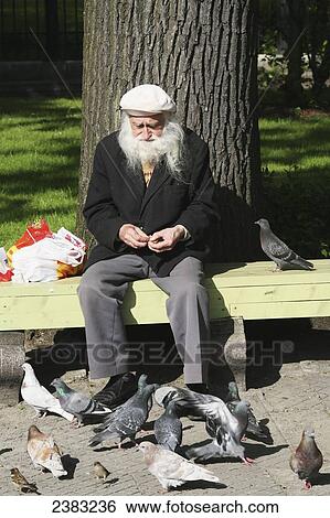 Local man feeding pigeons in Esplanade Park near the Old Town; Riga, Latvia View Large Photo Image Stock Photograph - Local man feeding pigeons in Esplanade Park near the Old Town; Riga, Latvia. Fotosearch