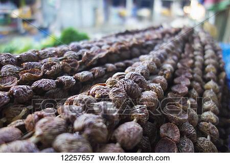 Stock Photo - Local nuts for sale; Timor-Leste. Fotosearch
