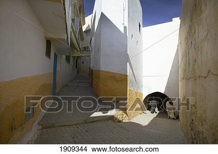 Picture - Local People In Passageway, Moulay Idriss, Morocco. Fotosearch